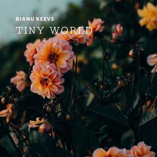 Rianu Keevs-Tiny World