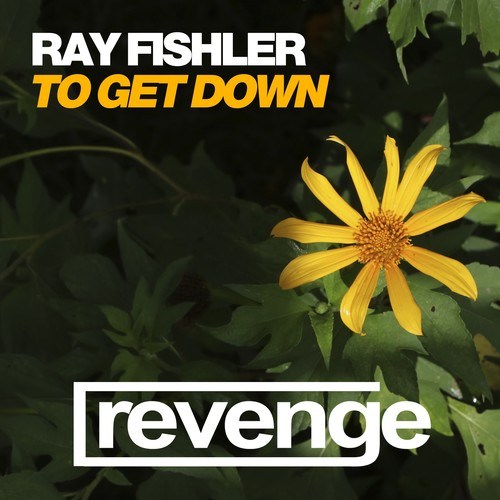 Ray Fishler, Jungle Jaxx-To Get Down (Jungle Jaxx Remix)