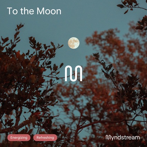Myndstream-To The Moon