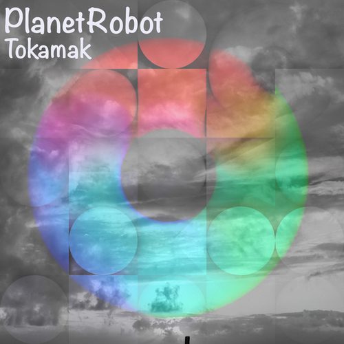 Tokamak