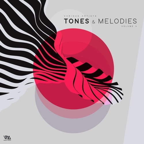 Various Artists-Tones & Melodies, Vol. 6