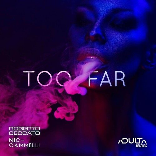 Roberto Ceccato, Nic Cammelli-Too Far (Original Mix)