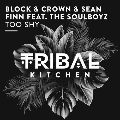 Block & Crown, Sean Finn, THE SOULBOYZ-Too Shy (Extended Mix)