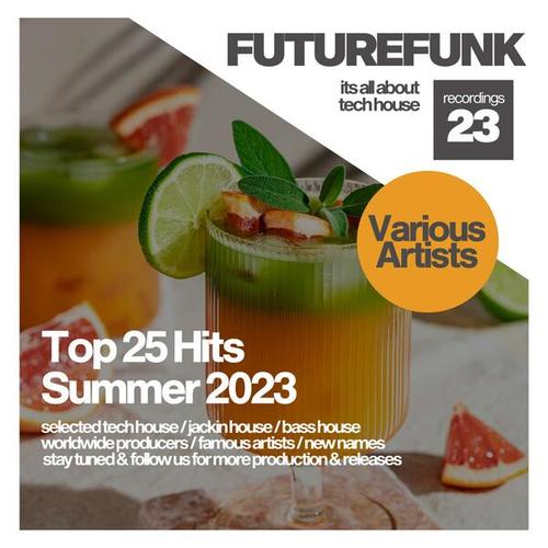 Top 25 Hits Summer 2023