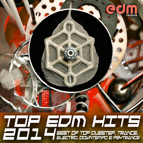 Top 30 EDM Hits 2014 - Best of Top Dubstep, Trance, Electro, Downtempo & Psy Trance