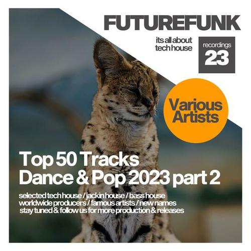 Various Artists-Top 50 Tracks Dance & Pop 2023 part 2