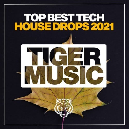 Various Artists-Top Best Tech House Drops 2021