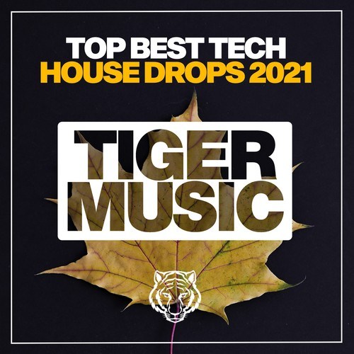 Top Best Tech House Drops 2021