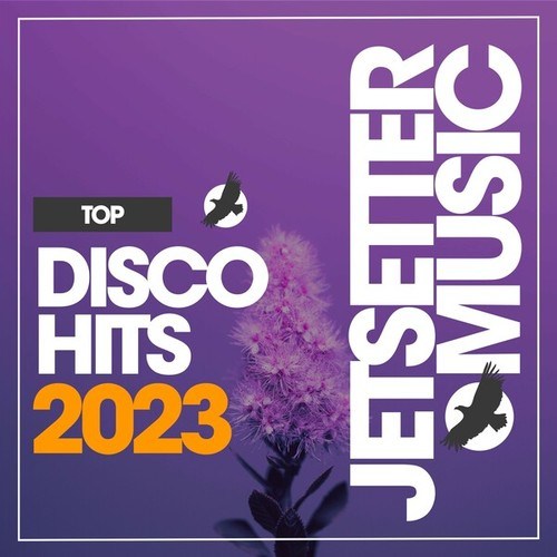 Various Artists-Top Disco Hits 2023