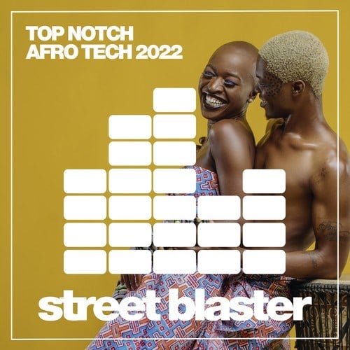 Various Artists-Top Notch Afro Tech 2022