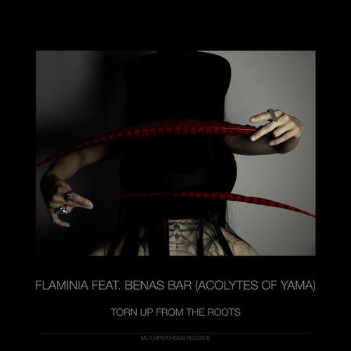 Flaminia, Acolytes Of Yama, Benas BAR-Torn Up From The Roots