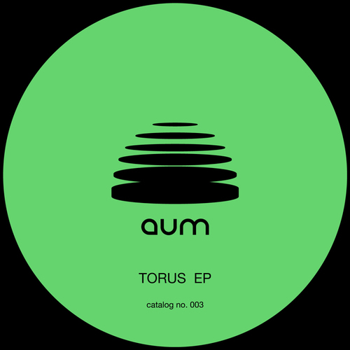 DJ HI-C-TORUS