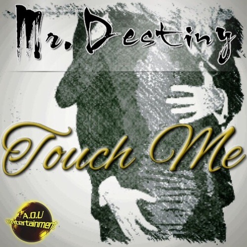 Mr. Destiny-Touch Me