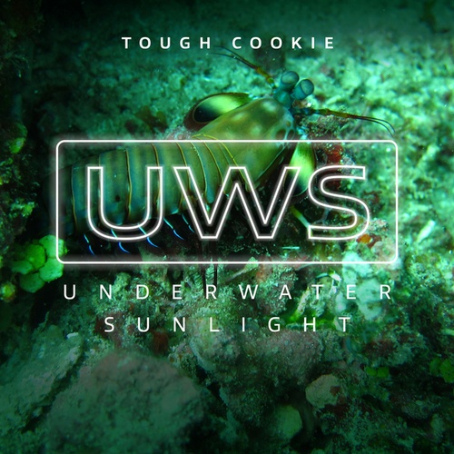 Underwater Sunlight-Tough Cookie