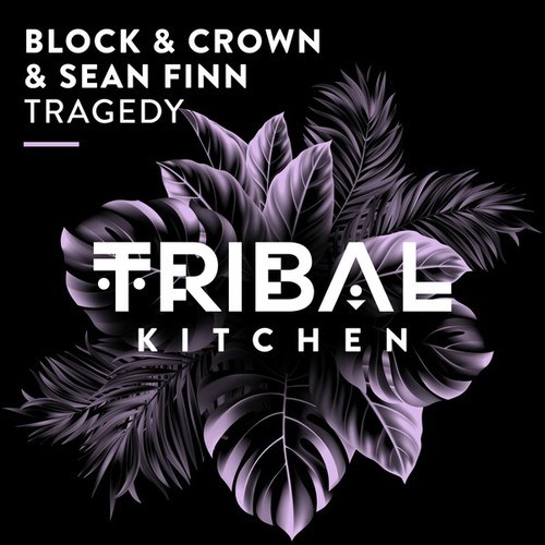 Block & Crown, Sean Finn-Tragedy (Extended Mix)