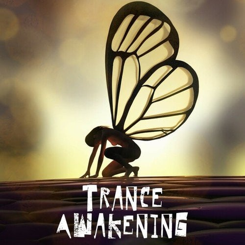 Various Artists-Trance Awakening