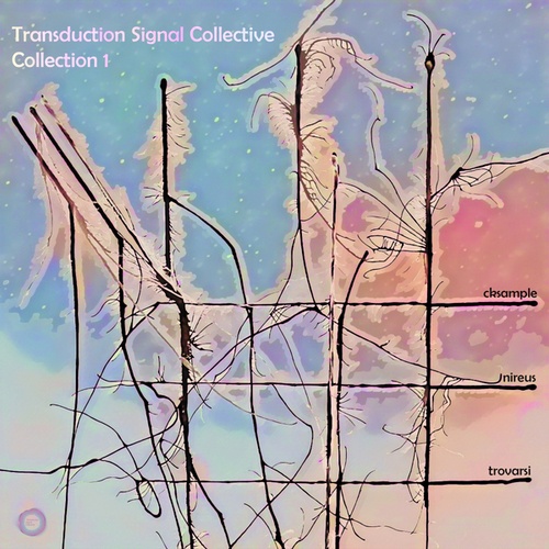 Nireus, Trovarsi, Cksample-Transduction Signal Collective - Collection 1
