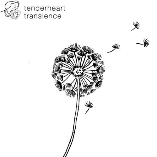 Tenderheart-Transience