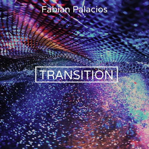 Fabian Palacios-Transition