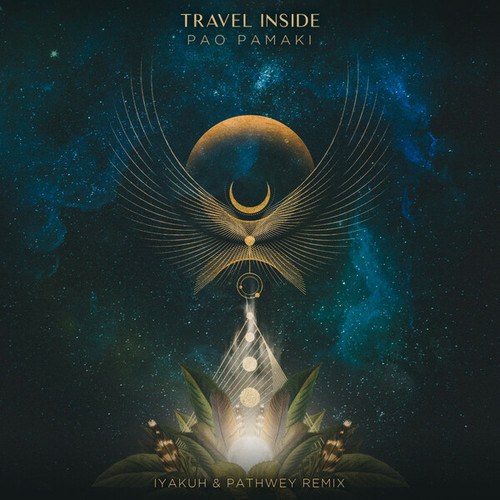 Travel Inside