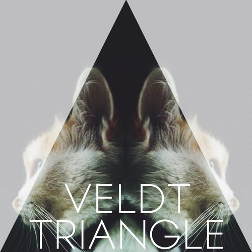 Veldt-Triangle