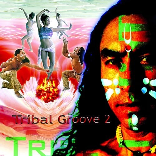 Tribal Groove, Vol. 2