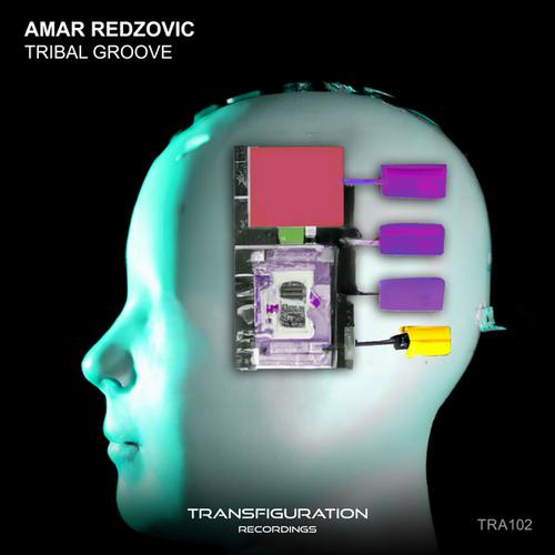 Amar Redzovic-Tribal Groove