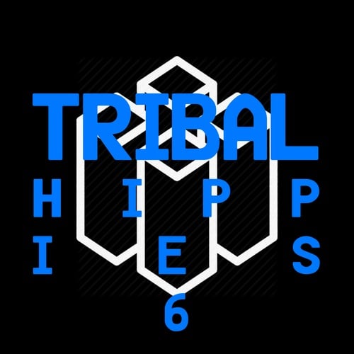 Various Artists-Tribal Hippies 6