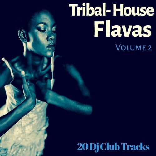 Various Artists-Tribal House Flavas, Vol. 2 (20 DJ Club Tracks)