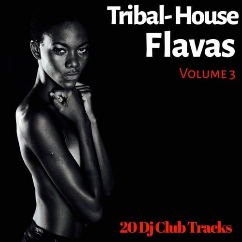 Various Artists-Tribal House Flavas, Vol. 3 (20 DJ Club Tracks)