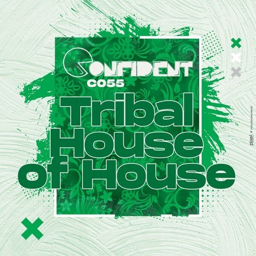 Tribal House of House