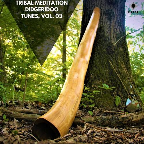 Tribal Meditation Didgeridoo Tunes, Vol. 03