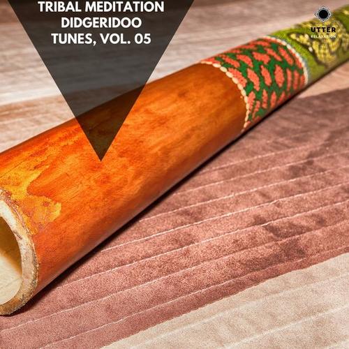 Tribal Meditation Didgeridoo Tunes, Vol. 05
