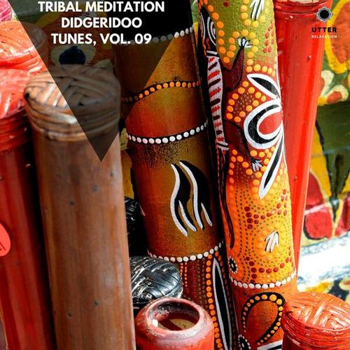 Tribal Meditation Didgeridoo Tunes, Vol. 09