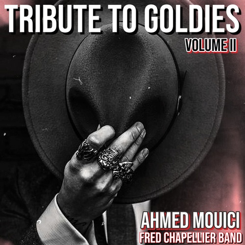 Ahmed Mouici-Tribute To Goldies, Vol II