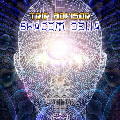 Fractal Impulse, Shacom Delia-Trip Advisor