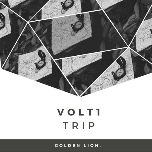 Volt1-Trip