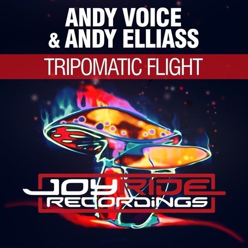 Andy Voice, Andy Elliass-Tripomatic Flight