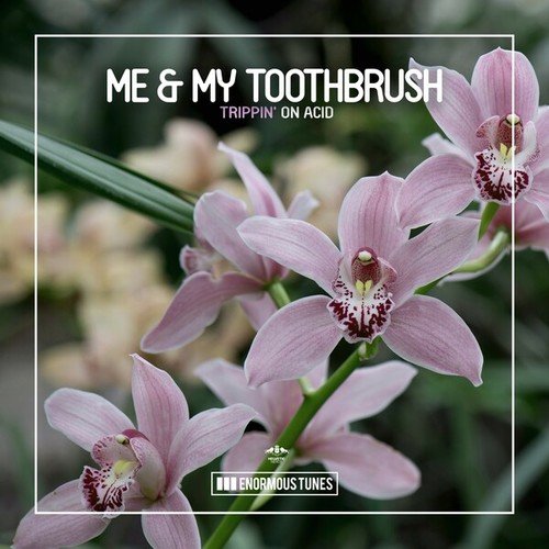Me & My Toothbrush-Trippin' on Acid