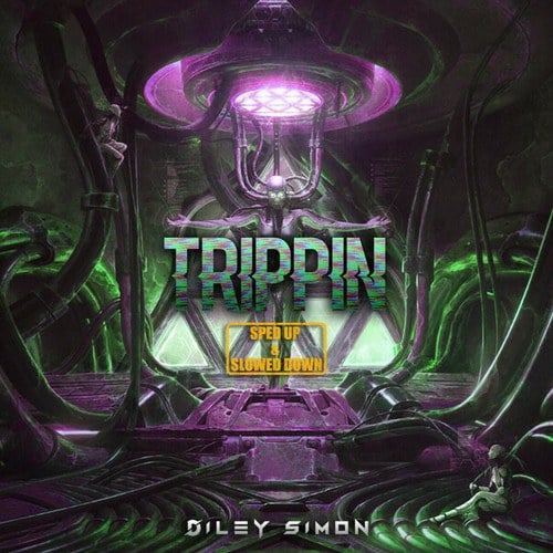 Diley Simon VIP, Diley Simon-Trippin (Sped Up & Slowed Down)