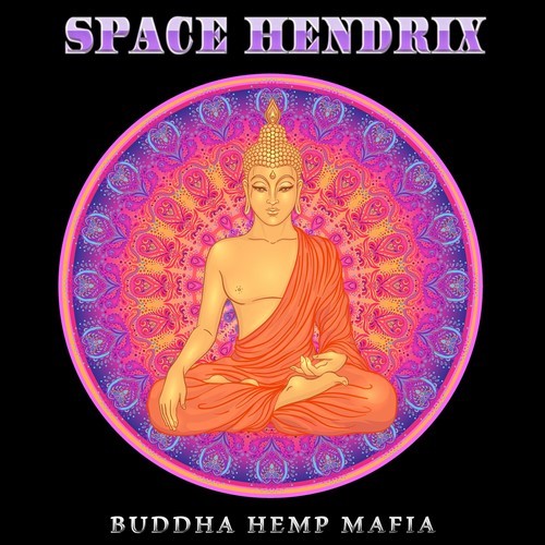 Space Hendrix-Trippy Hippie