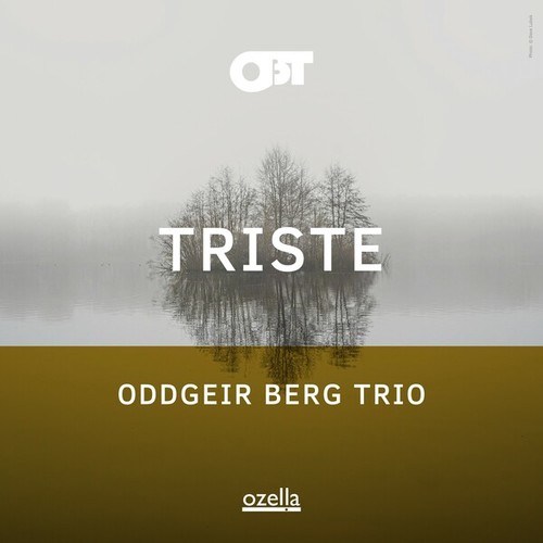 Oddgeir Berg Trio-Triste