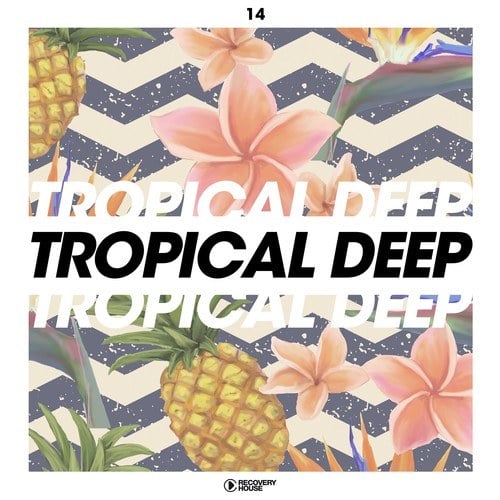 Various Artists-Tropical Deep, Vol. 14