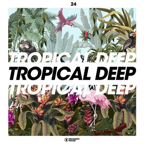 Various Artists-Tropical Deep, Vol. 24