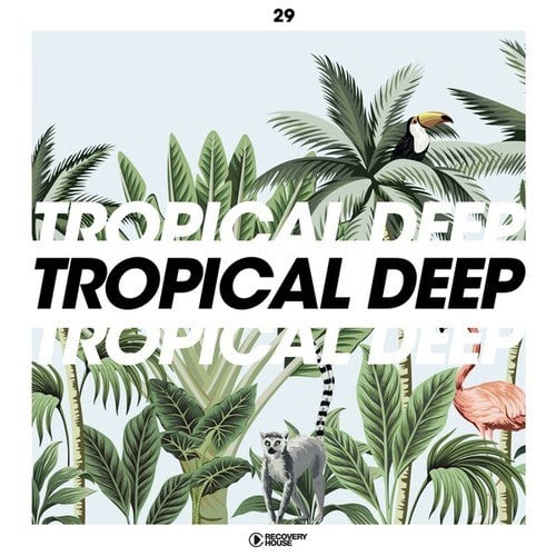 Various Artists-Tropical Deep, Vol. 29