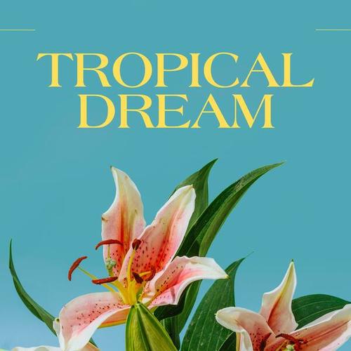 Tropical Dream