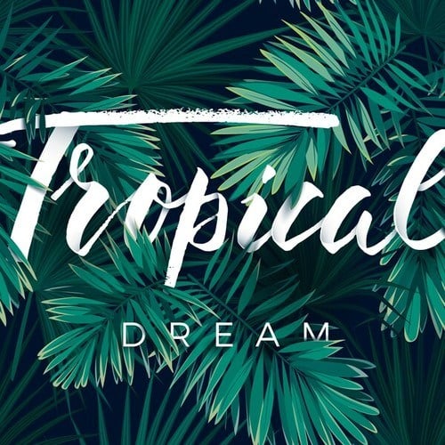 Various Artists-Tropical Dream