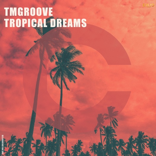 TMGroove-Tropical Dreams