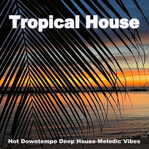 Various Artists-Tropical House Jam Hits 2022 (Hot Downtempo Deep House Melodic Vibes)