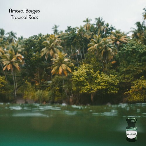 Amaral Borges-Tropical Root